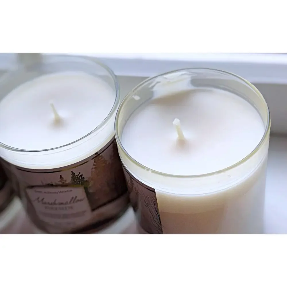 Lot of 3 Bath & Body Works Marshmallow Fireside Single Wick Candle